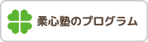 子どもの脳力・能力を開発する柔心塾のプログラム